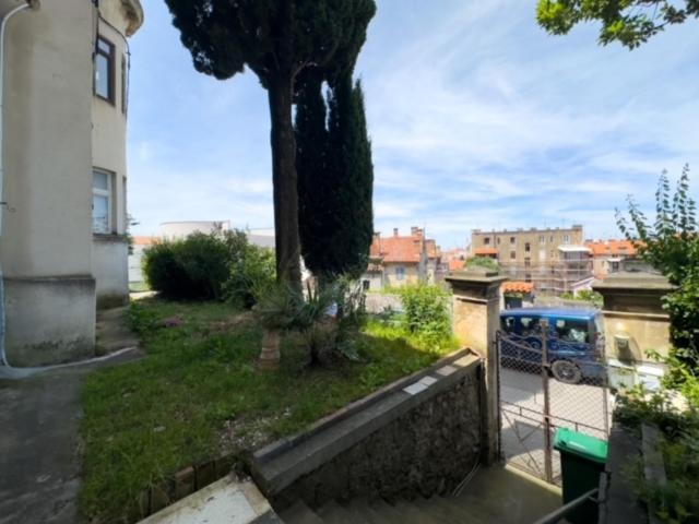 Edo 1 * Pula
